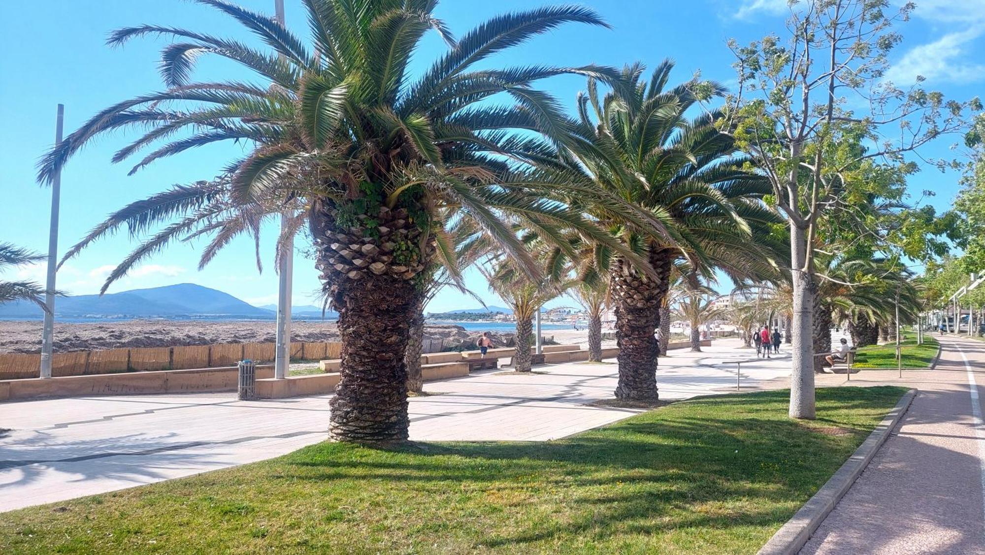 Lovealghero Stanze In Attico Vista Mare Buitenkant foto